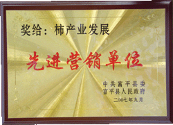 柿子醋 粉条 富平特产 琼锅糖 富平 专业合作社 盒儿柿饼 洋阳柿饼 富平县