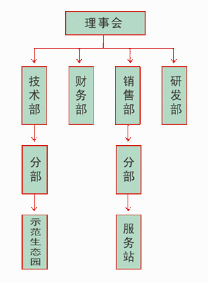 洋阳柿饼 富平柿饼 盒儿柿饼 富平特产 琼锅糖 柿子醋 粉条 专业合作社 富平县